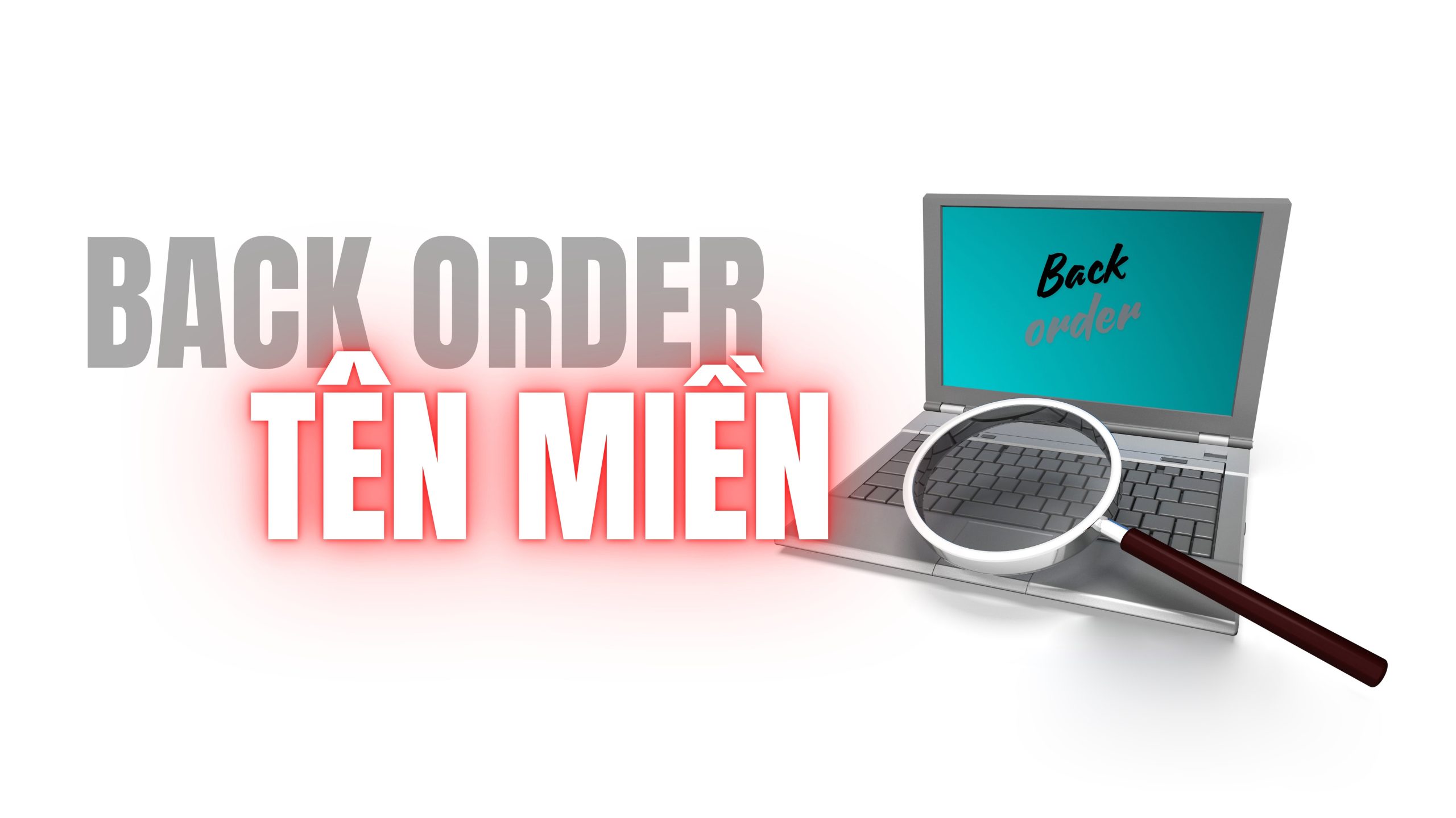 Back Order tên miền